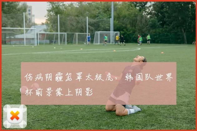伤病阴霾笼罩太极虎，韩国队世界杯前景蒙上阴影 - 爱游戏推荐